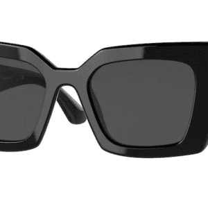 Large Black Color Glasses With Gold Branding on Side