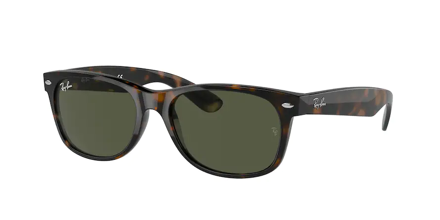 Ray Ban Brown and Black Sunglasses Frame