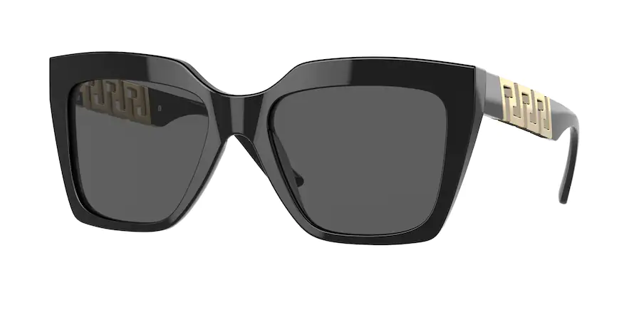Versace Shiny Black Sunglass for men