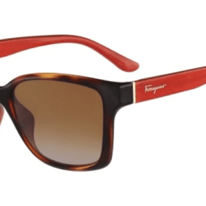 Red Frame Wood Pattern-Havana Glasses